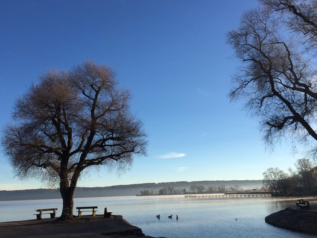 Dießen am Ammersee Hotel Zum See Garni מראה חיצוני תמונה